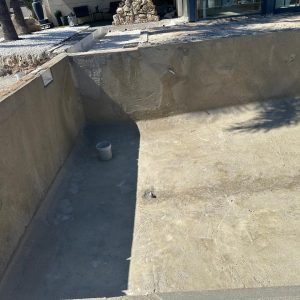 PHOTO-2025-02-04-11-31-00 4